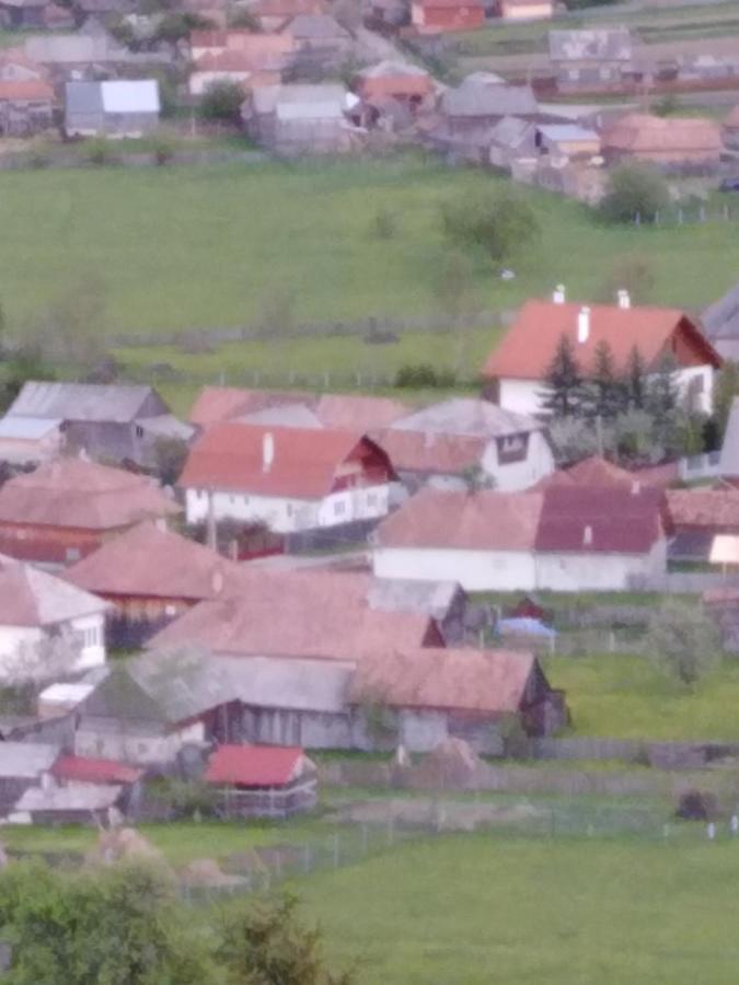 Casa traditionala Subcetate Subcetate  Esterno foto
