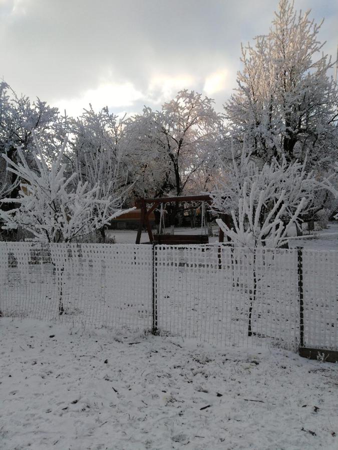 Casa traditionala Subcetate Subcetate  Esterno foto