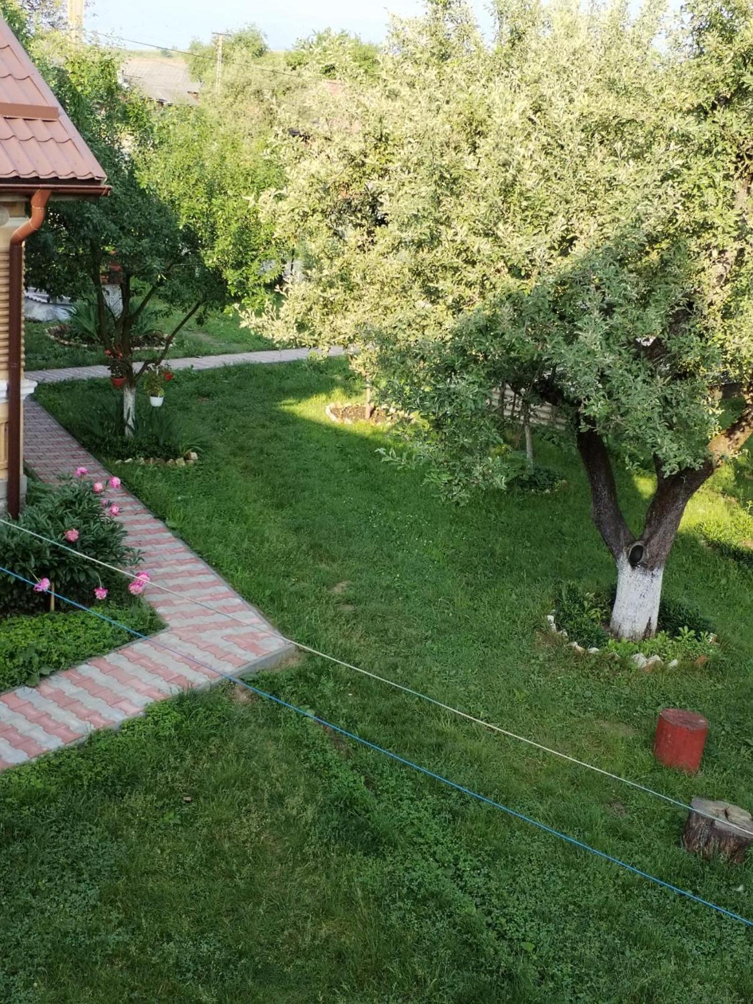Casa traditionala Subcetate Subcetate  Esterno foto