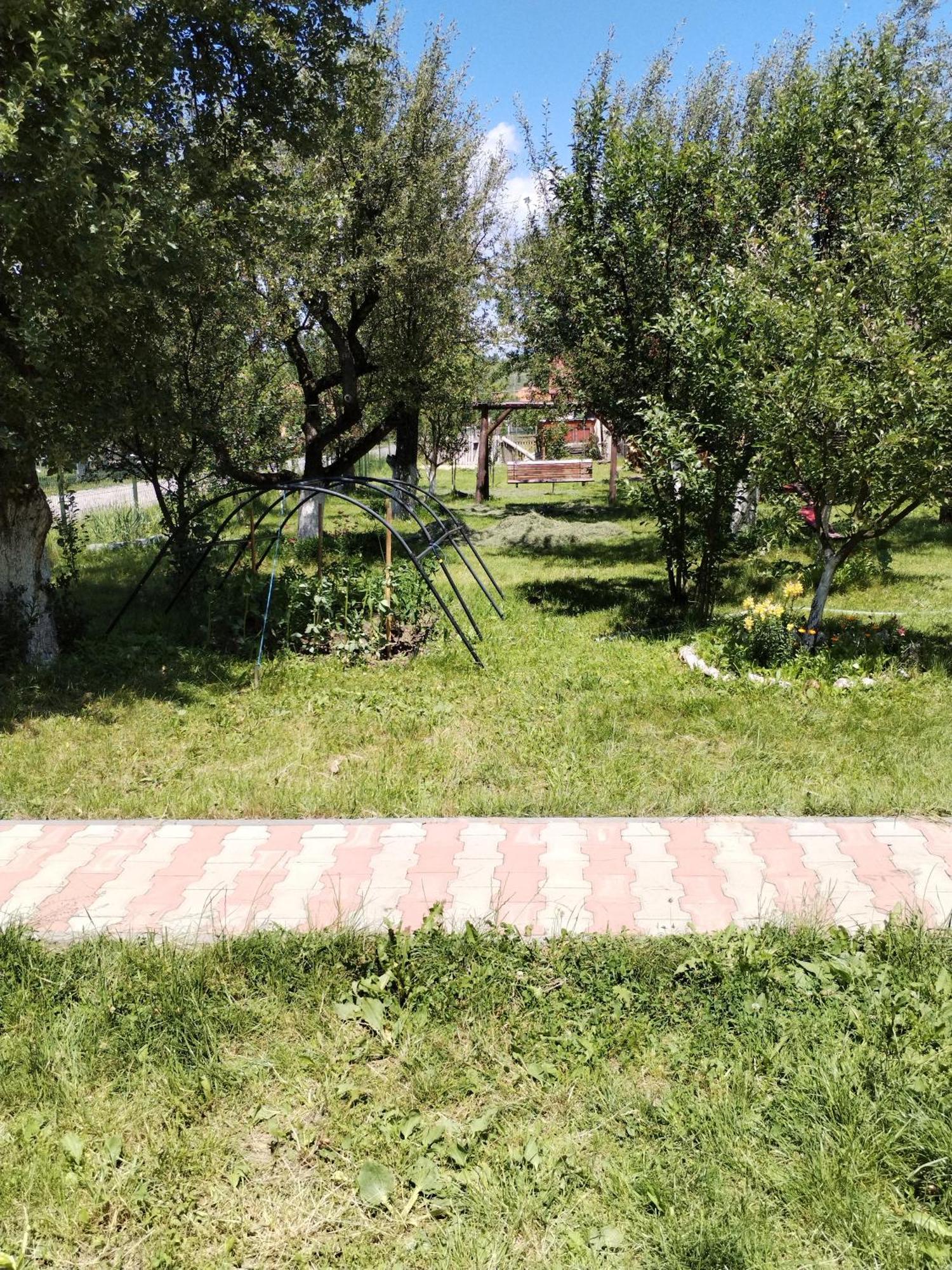 Casa traditionala Subcetate Subcetate  Esterno foto