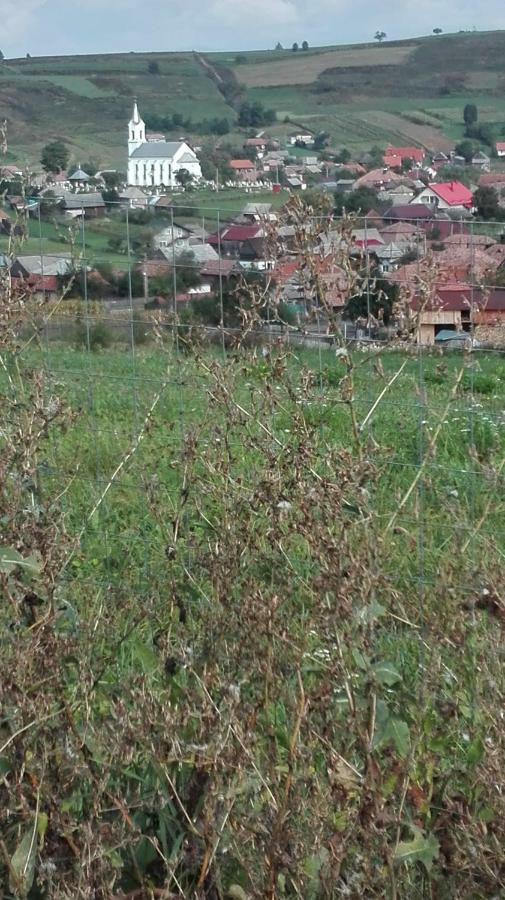 Casa traditionala Subcetate Subcetate  Esterno foto