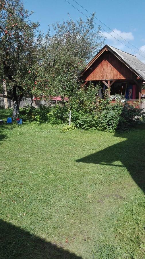 Casa traditionala Subcetate Subcetate  Esterno foto