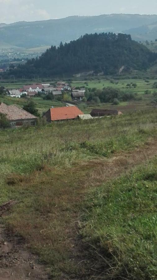 Casa traditionala Subcetate Subcetate  Esterno foto