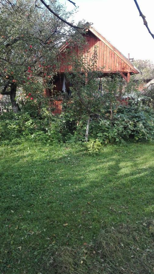 Casa traditionala Subcetate Subcetate  Esterno foto
